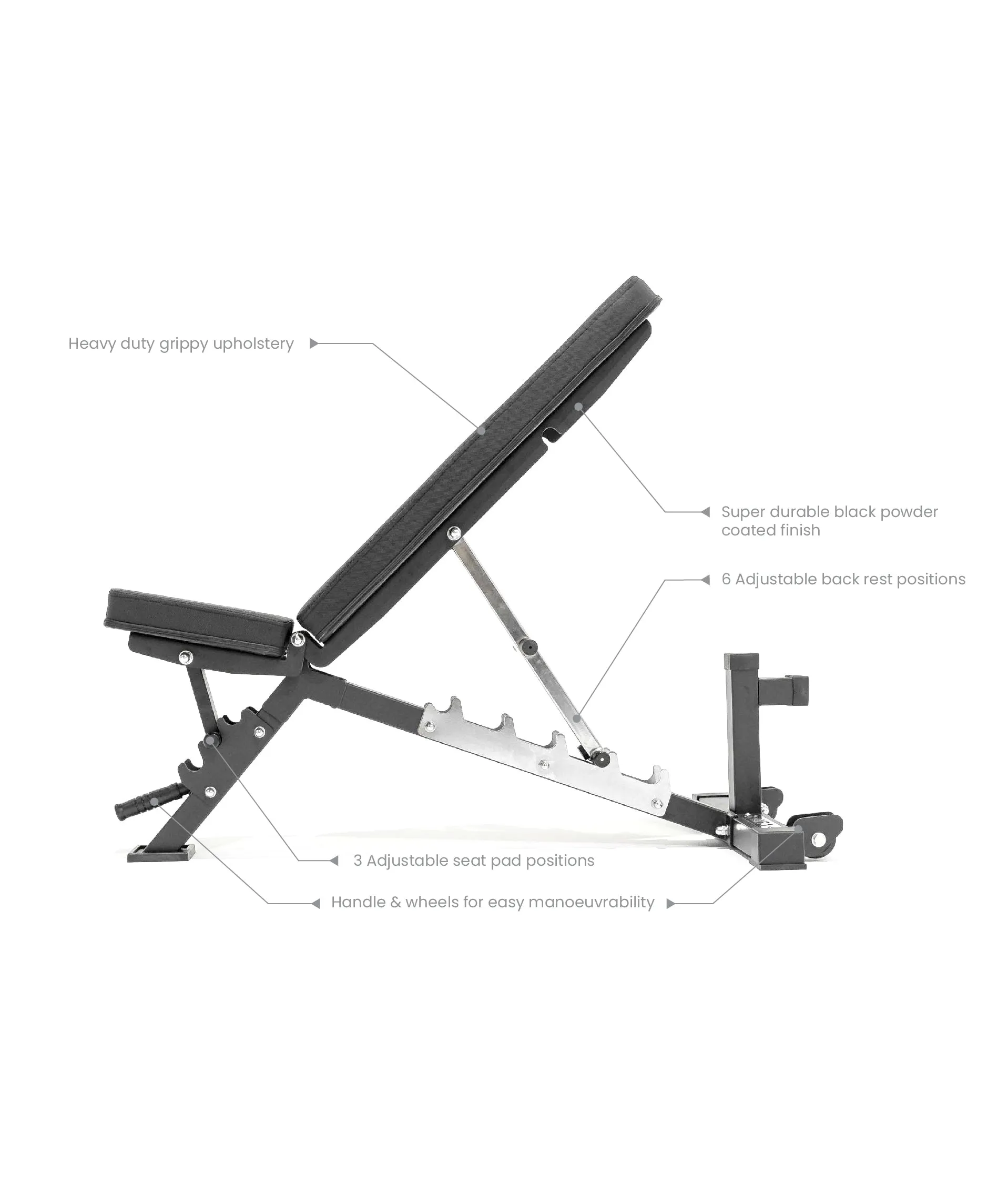 EX DEMO | VERVE Commercial Adjustable Bench