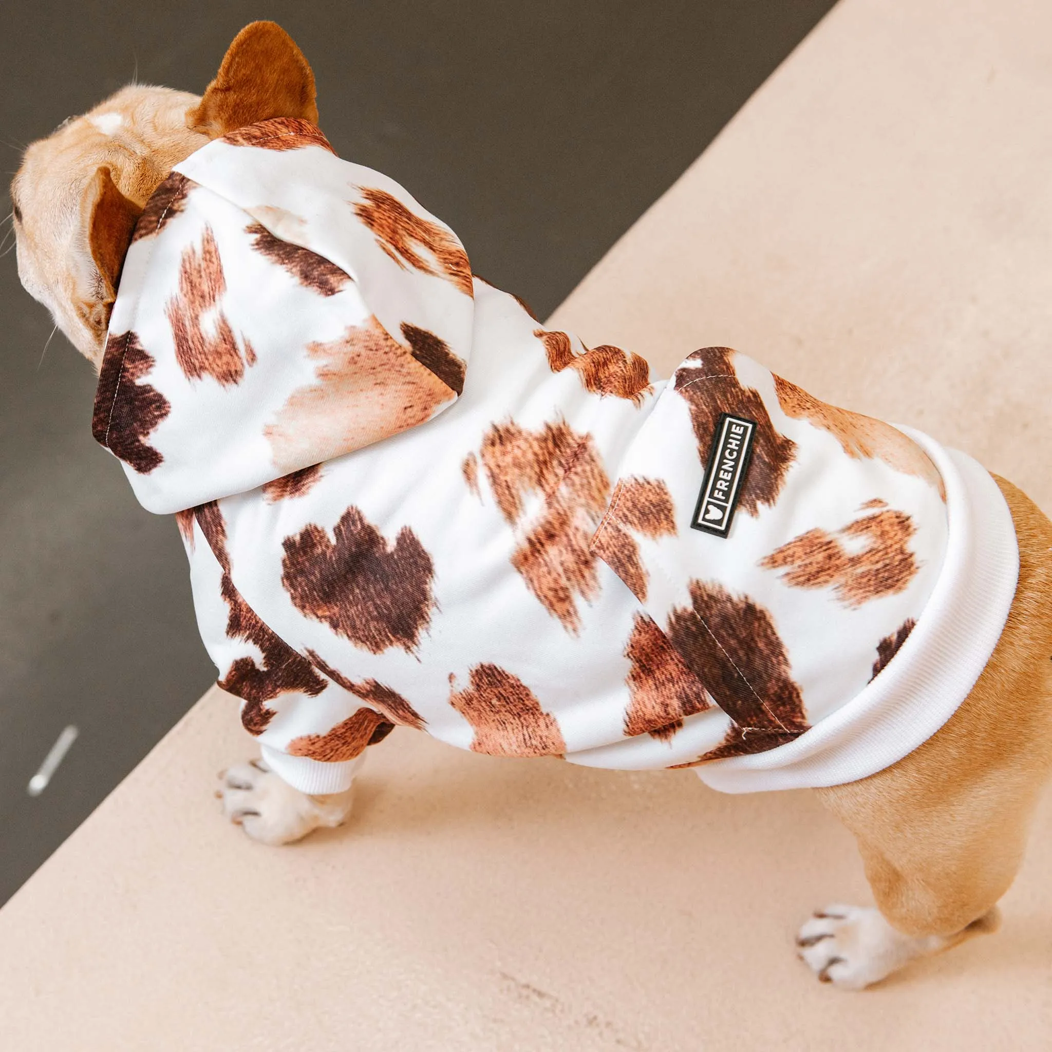 Frenchie Dog Hoodie - Moo