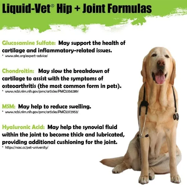 Liquid-Vet Hip & Joint Pot Roast Flavour Advanced Formula for Dogs 2 Pack