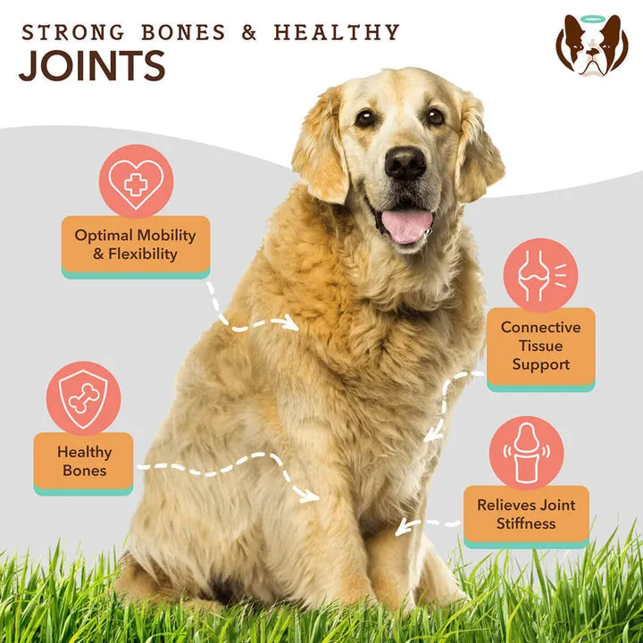 Natural Dog Company Liquid Glucosamine Hip & Joint Oil for Dogs