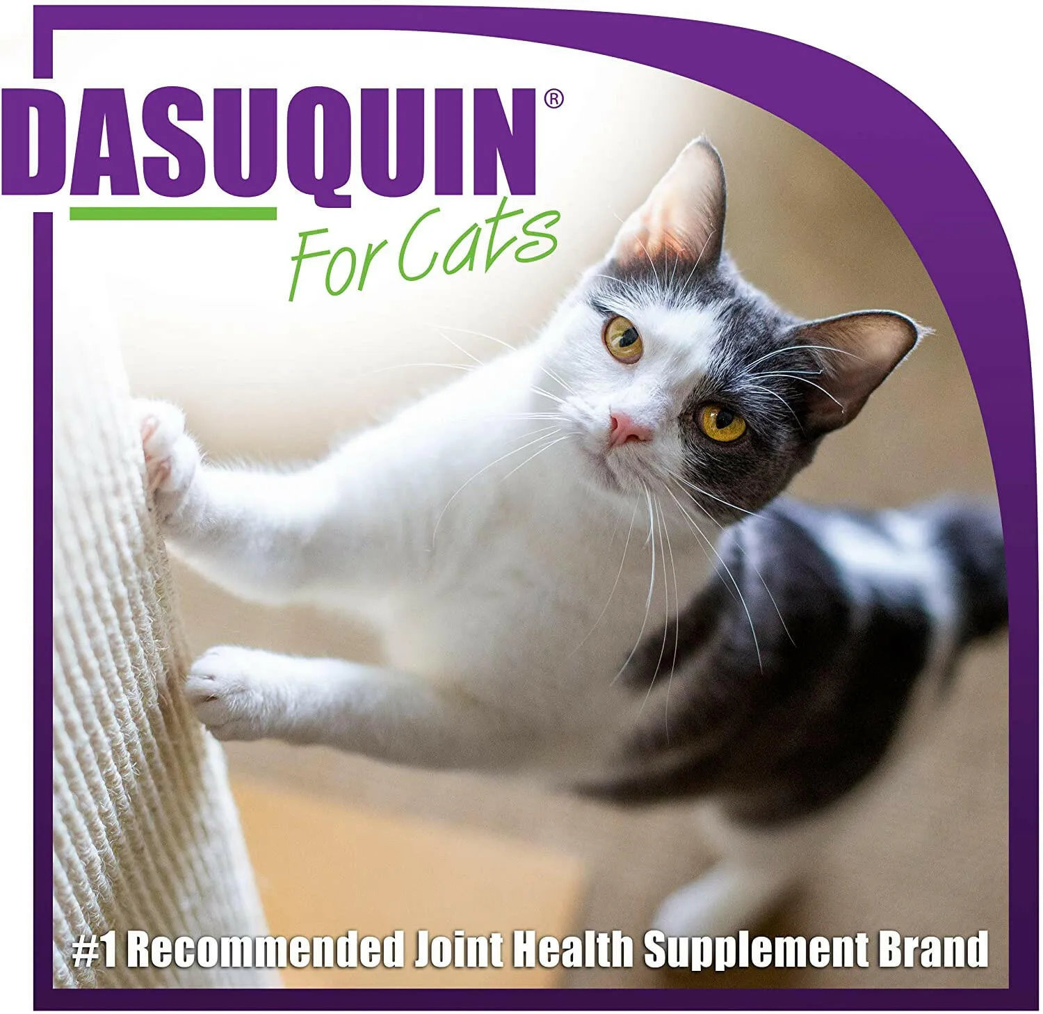 Nutramax Dasuquin Joint Health Supplement for Cats - With Glucosamine, Chondroitin, ASU, Boswellia Serrata Extract, Green Tea Extract, Omega-3’s, 84 Soft Chews