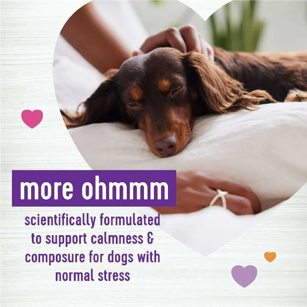 Wellness Calm Relaxation Support Chicken Flavor Chew Supplement for Dogs